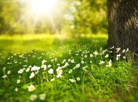 profumo ambiente professionale